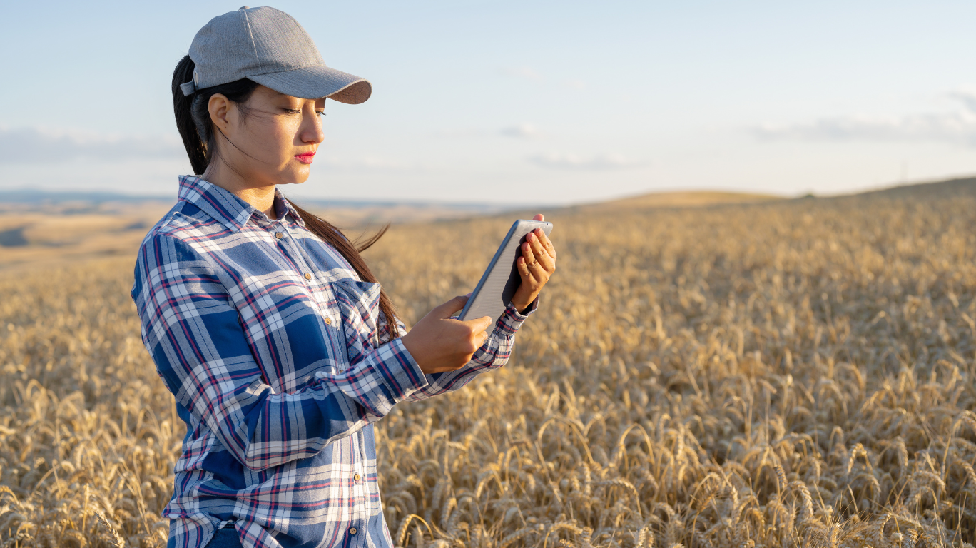 To Behold the Power of Digital Harvest Marketing for Business Growth