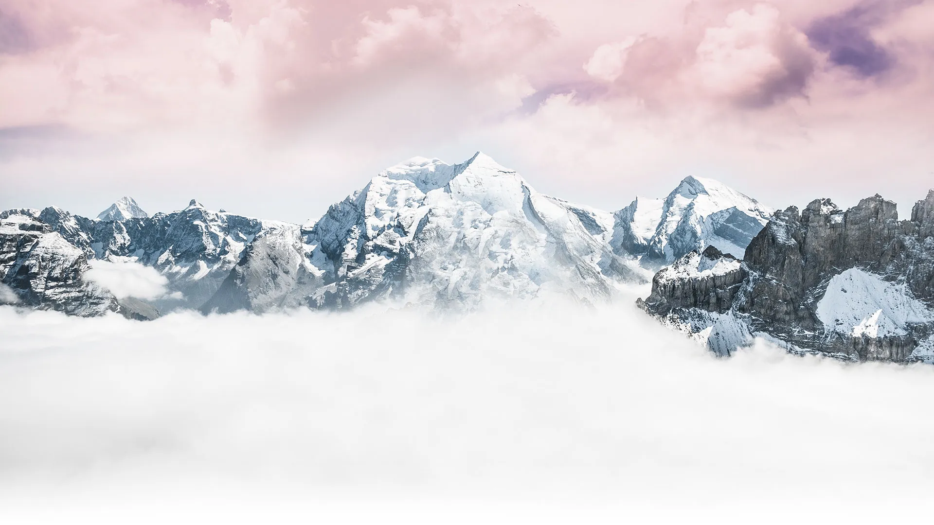 MAXIMIZE YOUR VISIBILITY.