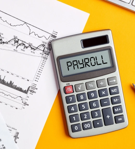 Payroll Services