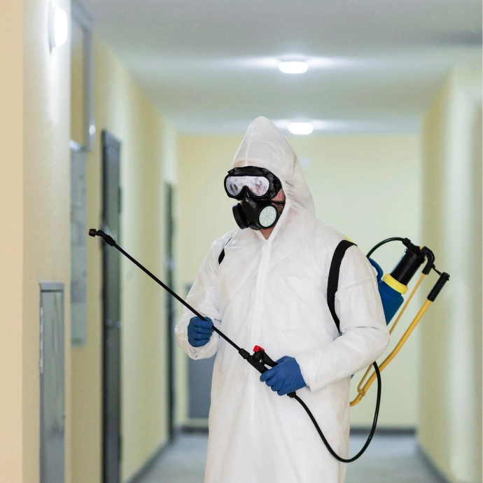 Pest-Control-Services