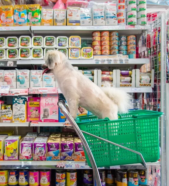 Pet-Food-Shops