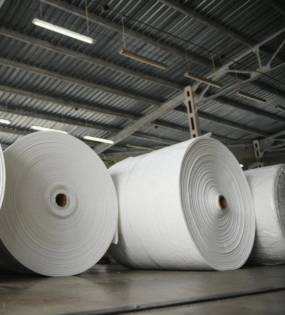 Pulp-and-Paper-Industry
