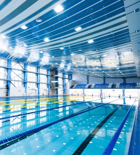 Swimming Pool Companies