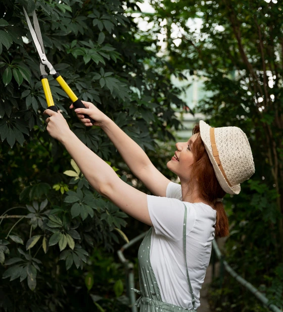 Tree-care-services