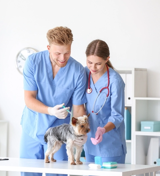 Veterinarians