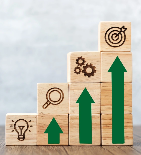 Growth Strategy