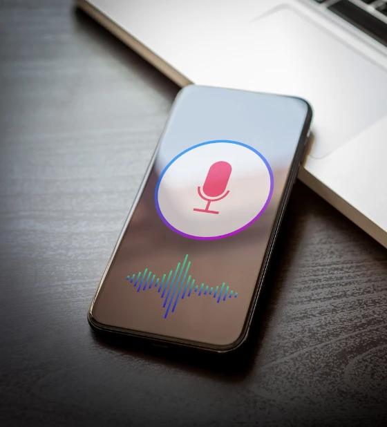 Voice Search Optimization